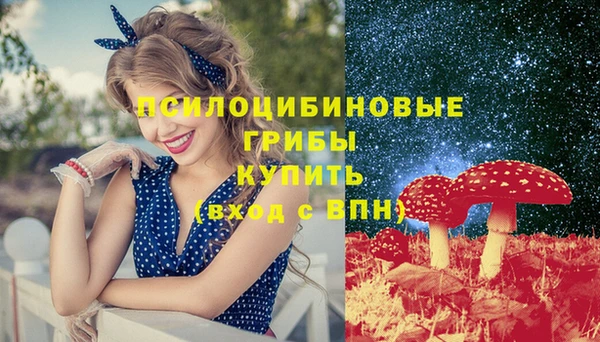 ECSTASY Горняк