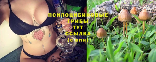 спайс Гусь-Хрустальный