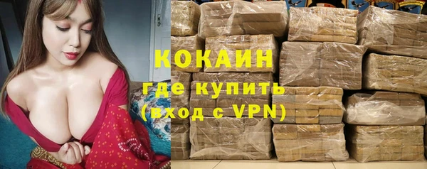 гидропоника Гусев