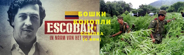 спайс Гусь-Хрустальный