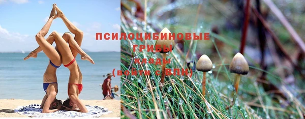 соль ск Долгопрудный