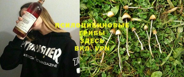 трава Новый Уренгой