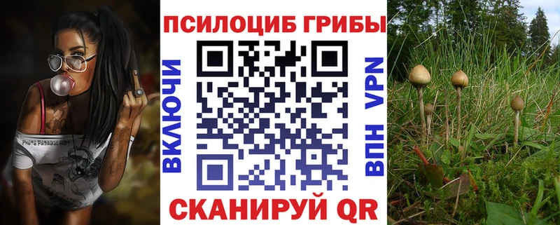 купить  цена  даркнет телеграм  Псилоцибиновые грибы мицелий  Далматово 
